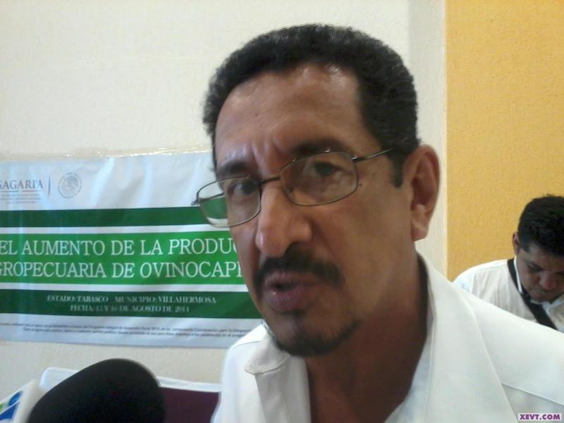 Sin fecha SAGARPA para pagar PROGAN a 40% de los productores