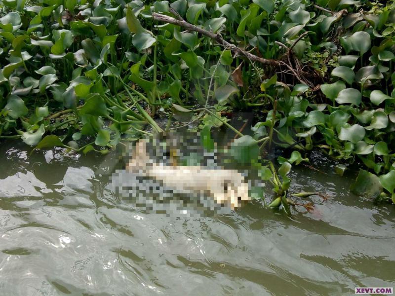 Localizan otra extremidad en el río González de Paraíso