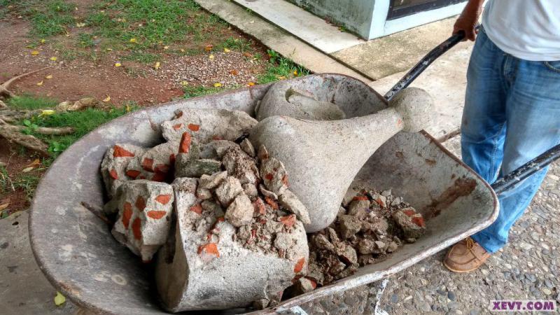 Colegio de Arquitectos y de Ingenieros Civiles revisarán la Catedral Colegio de Arquitectos y de Ingenieros Civiles revisarán la Catedral