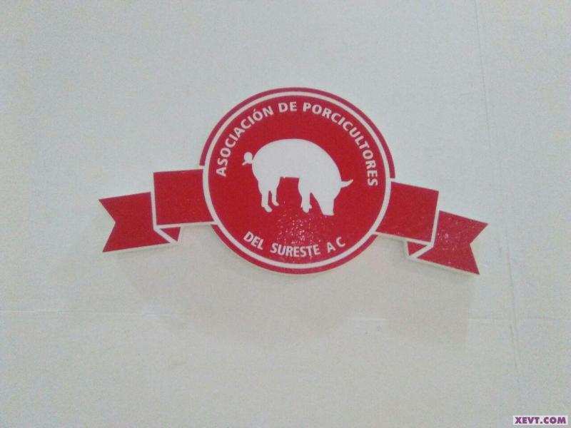 Sólo 3% de la demanda de carne de cerdo en Tabasco, se produce en la entidad Sólo 3% de la demanda de carne de cerdo en Tabasco, se produce en la entidad