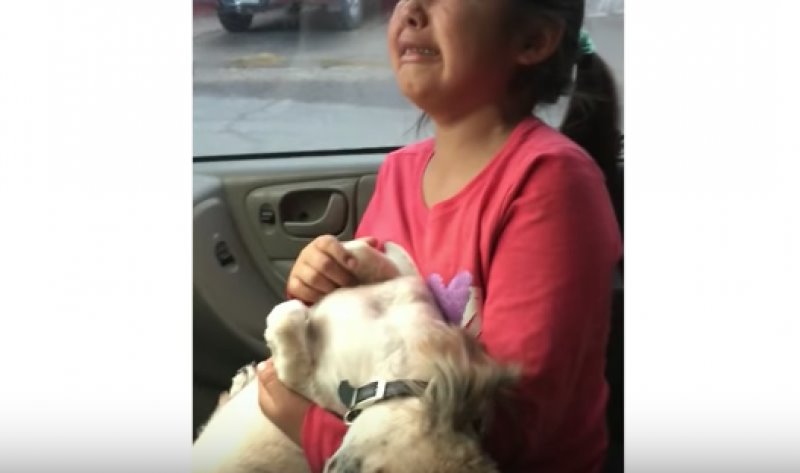 Niña llora porque no le gustó el corte de pelo de su perro Niña llora porque no le gustó el corte de pelo de su perro