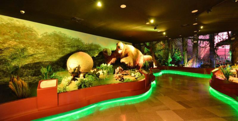 Reinauguran Museo de Historia Natural ‘José Narciso Rovirosa’ Reinauguran Museo de Historia Natural ‘José Narciso Rovirosa’