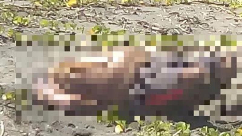 Encuentran cuerpo mutilado en playa de Jalapita, Centla