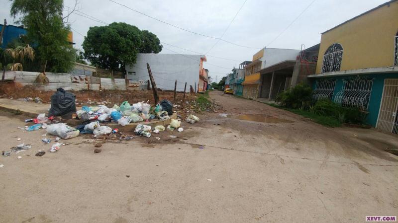 Colonos de Gaviotas Sur, sector Armenia advierten que perdieron hasta sus aves de corral