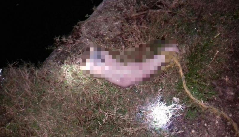 Localizan brazo de un hombre en Jalapita, Centla