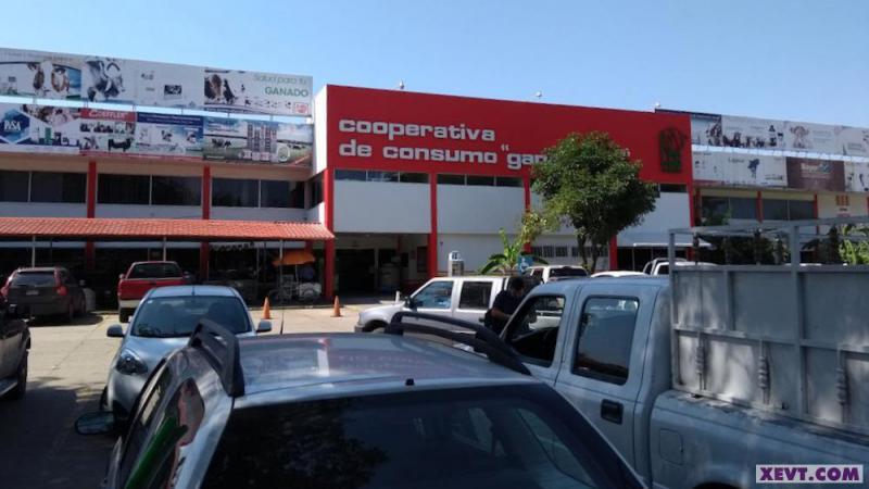 Defiende ANJ posibilidad de convertir préstamo a la UGR en ‘fondo perdido’