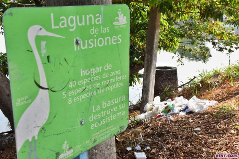 Imagen del Día: La basura destruye el ecosistema de las especies que habitan la Laguna de las Ilusiones
