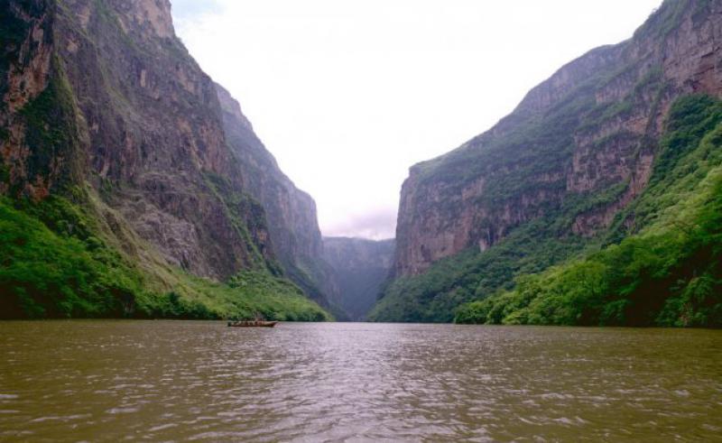 Ha perdido cañón del Usumacinta 300 hectáreas de selva en 10 años, advierten