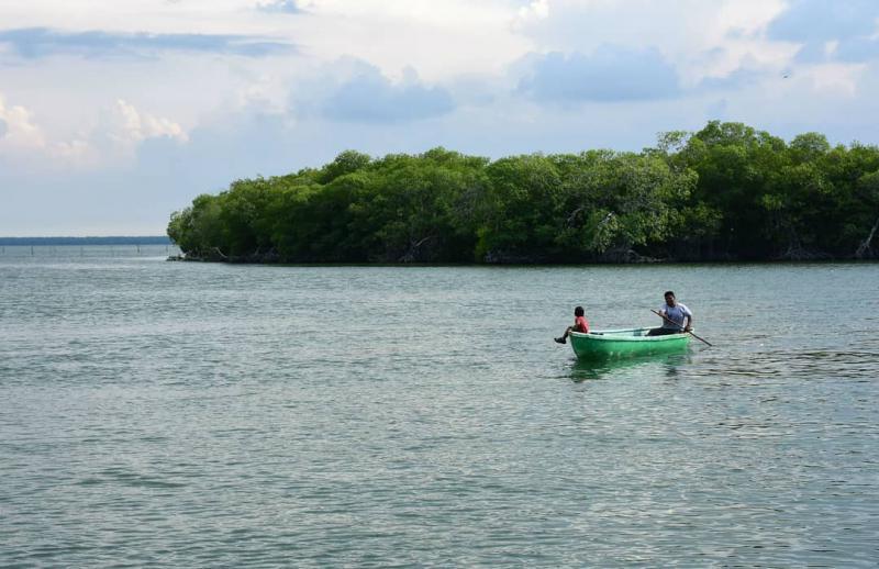 Declararán a laguna de Mecoacán, Área Natural Protegida