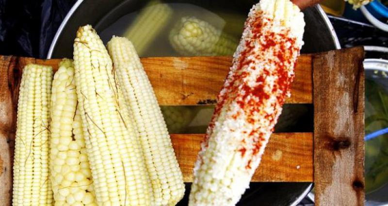 Propone edil impuesto a tacos y elotes Propone edil impuesto a tacos y elotes