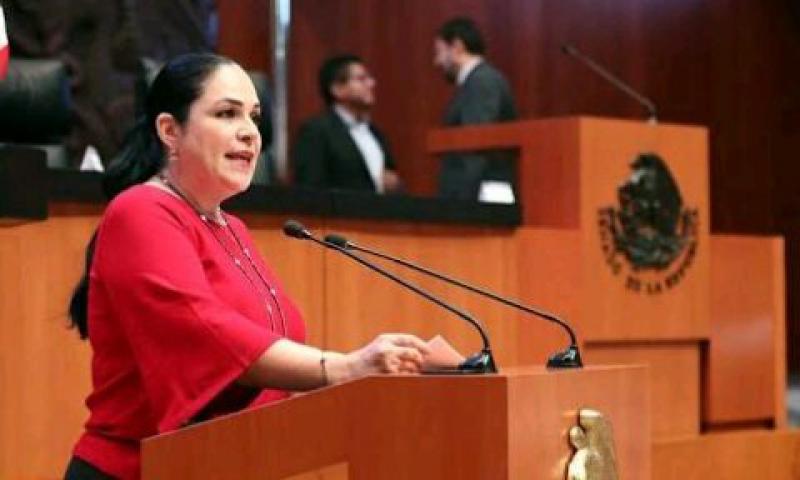 Descarta Mónica Fernández nueva elección en el Senado 