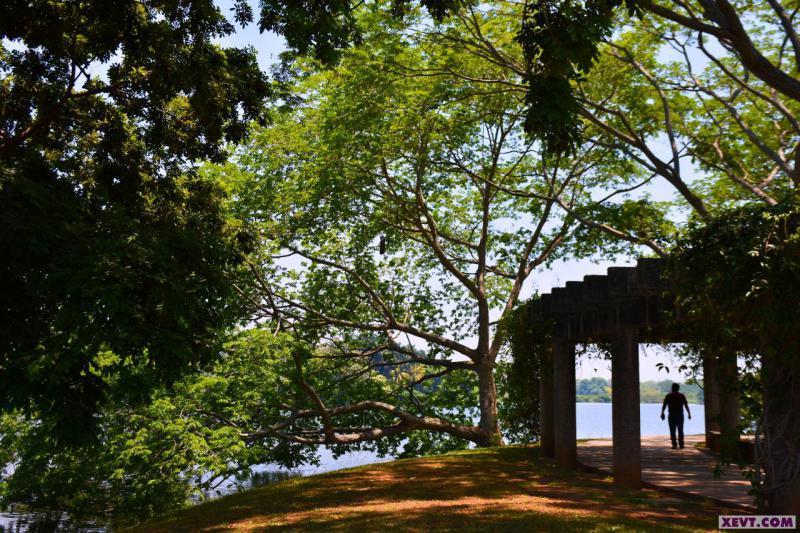 Imagen del Día: Paisajes únicos se disfrutan en el parque 18 de Marzo