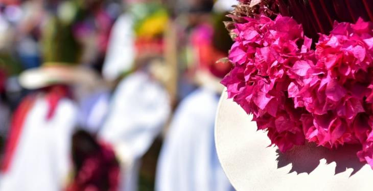 Color, danza y tradición en el Festival de Tenosique; así se vivió.