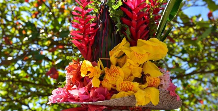 Color, danza y tradición en el Festival de Tenosique; así se vivió.