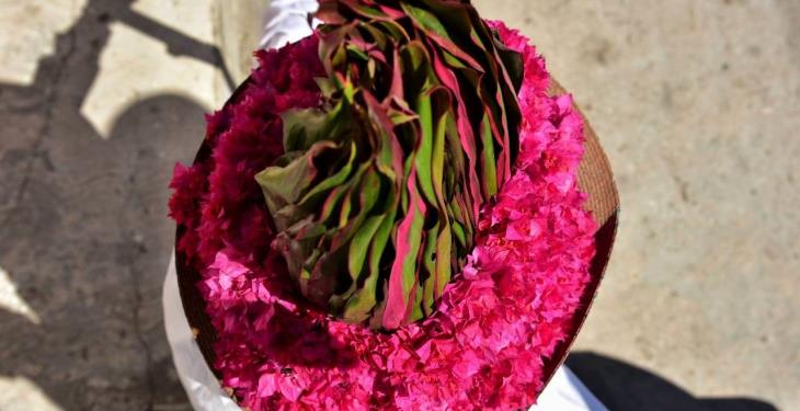 Color, danza y tradición en el Festival de Tenosique; así se vivió.