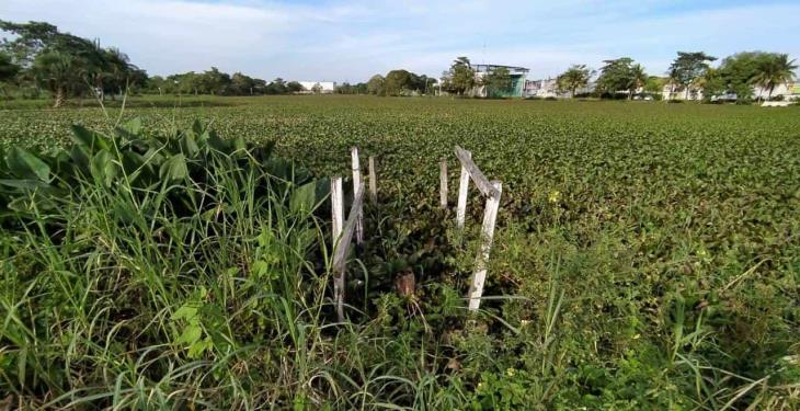 Más de 10 años en el abandono el parque Macuco