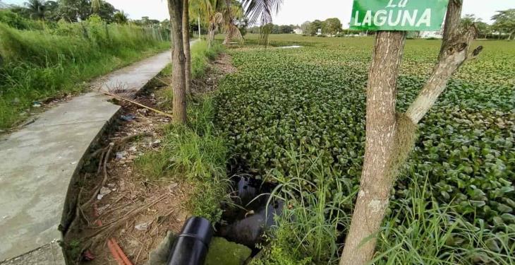 Selección fotográfica de la semana