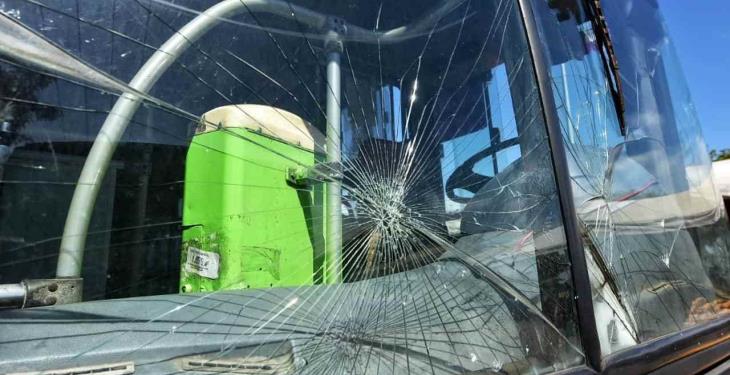 Selección fotográfica de la semana