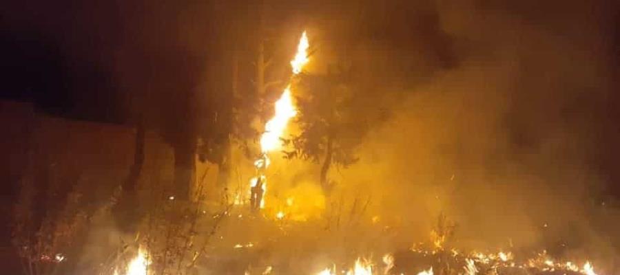 Incendian refugio para animales en EDOMEX, estuvieron en riesgo al menos 300 especies