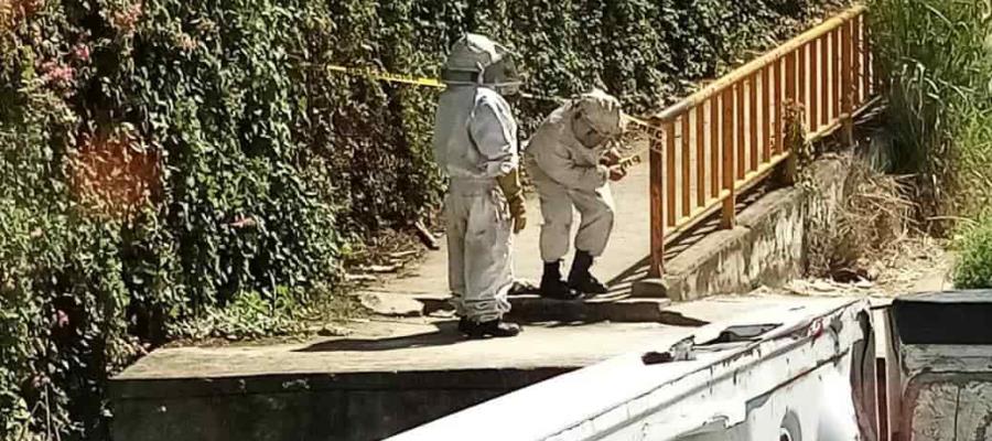 Evacuan a alumnos del plantel 24 del Cobatab por la presencia de abejas africanas