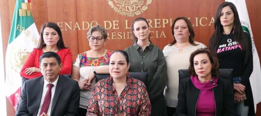 El Senado está comprometido en proteger a las mujeres de toda forma de violencia: Mónica Fernández El Senado está comprometido en proteger a las mujeres de toda forma de violencia: Mónica Fernández