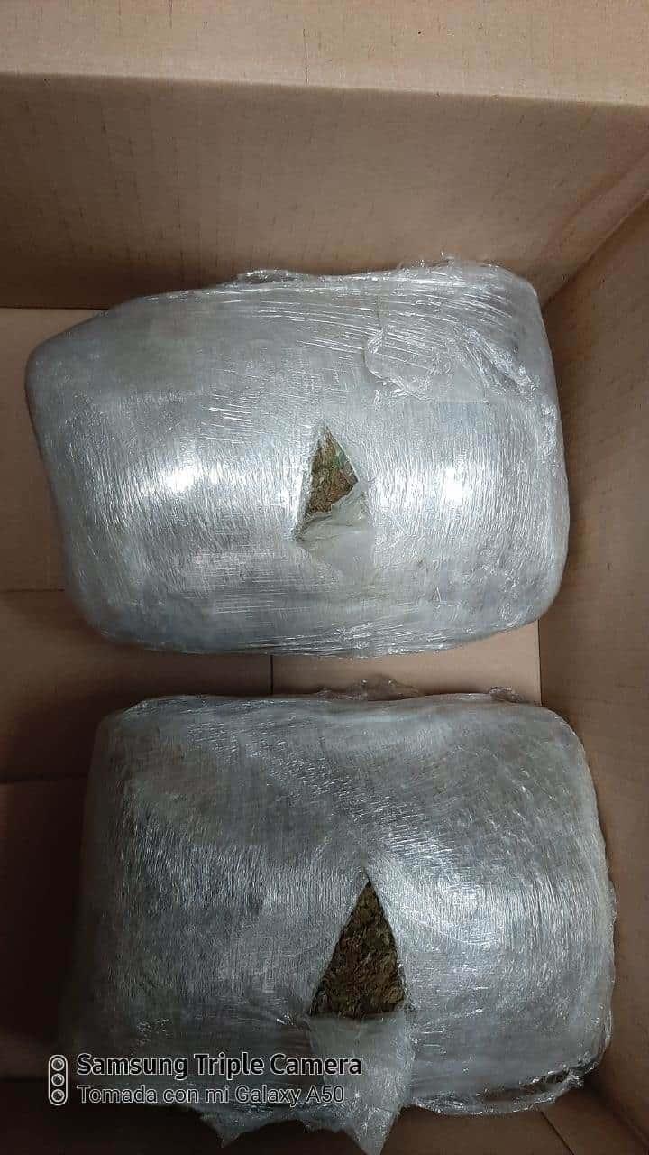 Incautan marihuana y cocaína en una empresa de mensajería en Atasta