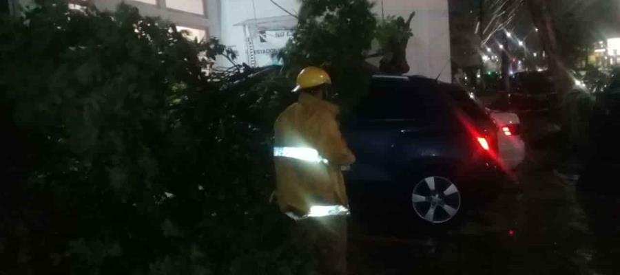 Atiende Protección Civil hasta 101 incidencias causadas por el frente frío 41