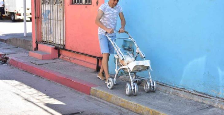 Pipo, el perrito que ya no puede caminar pero su amo se las ingenió para transportarlo de un lugar a otro