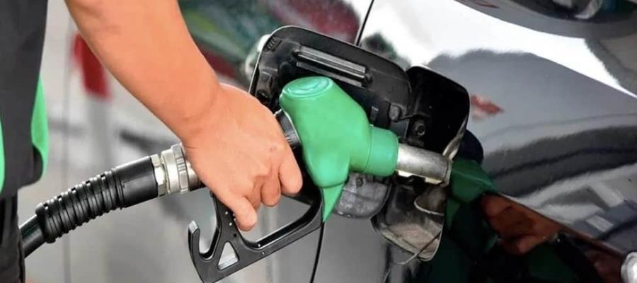Pese a caída del precio del petróleo, la gasolina no bajará, señala Hacienda