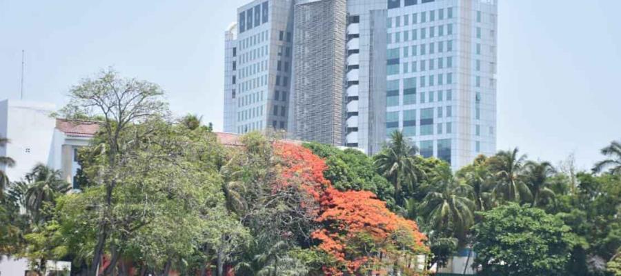 No se esperan lluvias hoy domingo en Tabasco: Protección Civil No se esperan lluvias hoy domingo en Tabasco: Protección Civil