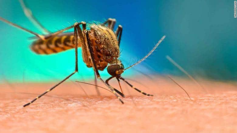 Tabasco entre los estados con incidencia más alta de dengue; suman 311 casos confirmados