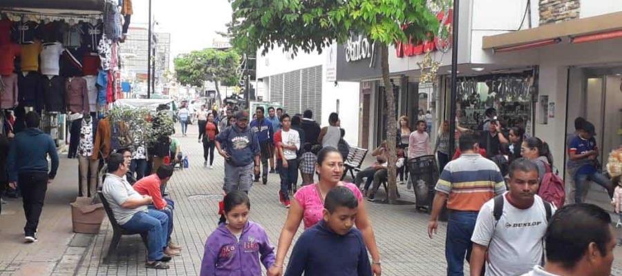 Piden comerciantes proyecto para erradicar plagas de ratas en Centro Histórico y parques