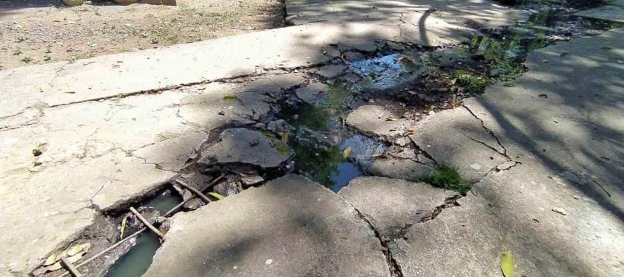 Enorme fuga de aguas negras recorre parte del parque Tomás Garrido