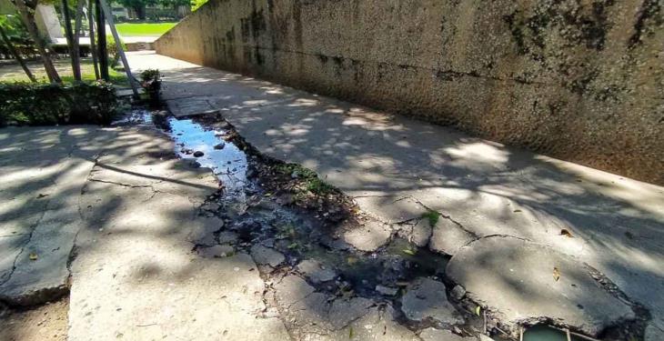 Selección fotográfica de la semana