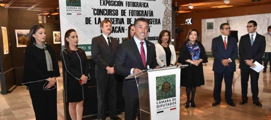 Exhorta Sergio Mayer a AMLO a suspender actos públicos para evitar propagación del coronavirus