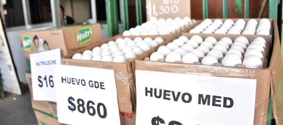 En la Central de Abasto de Villahermosa, pierden comercios por pandemia