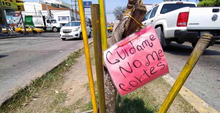 Selección fotográfica de la semana