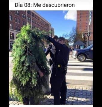 Solo en un escenario ganamos, quédense en casa, los mejores memes de esta cuarentena