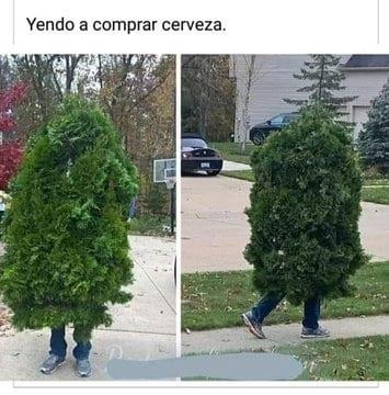 Solo en un escenario ganamos, quédense en casa, los mejores memes de esta cuarentena