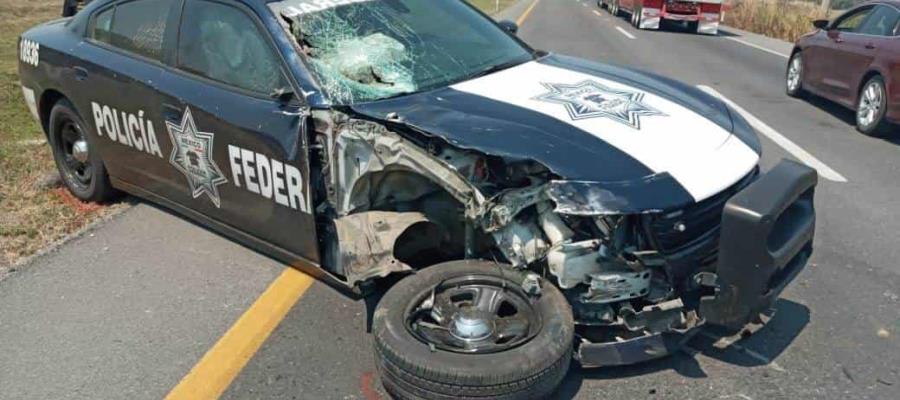 Patrulla de la Policía Federal arrolla y mata a motociclista
