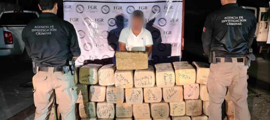 Decomisan casi media tonelada de marihuana