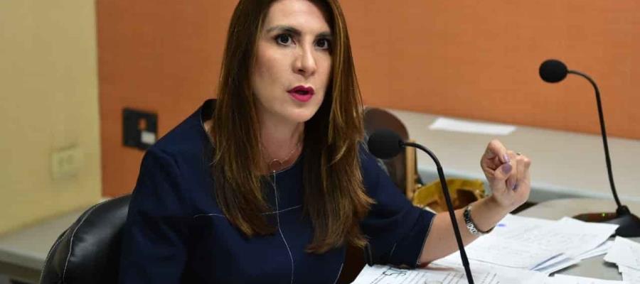 Propone Soraya Pérez cancelar cobro de luz a tabasqueños por coronavirus