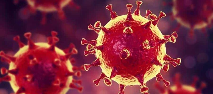 COVID-19 puede desaparecer al encontrarse una vacuna, pero se debe estar más de 3 meses en aislamiento, señala estudio COVID-19 puede desaparecer al encontrarse una vacuna, pero se debe estar más de 3 meses en aislamiento, señala estudio