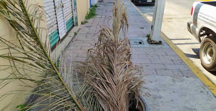 Sin tapa y con los cables expuestos dos registros de luz en el centro de Villahermosa Sin tapa y con los cables expuestos dos registros de luz en el centro de Villahermosa