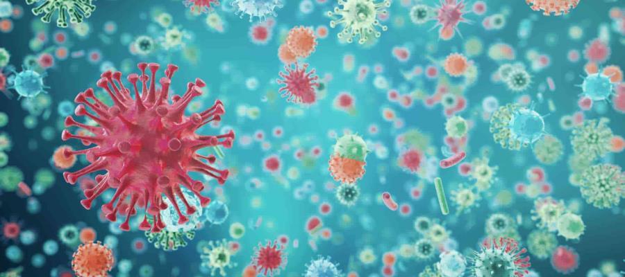 Afirman investigadores que hay tres tipos de coronavirus Afirman investigadores que hay tres tipos de coronavirus