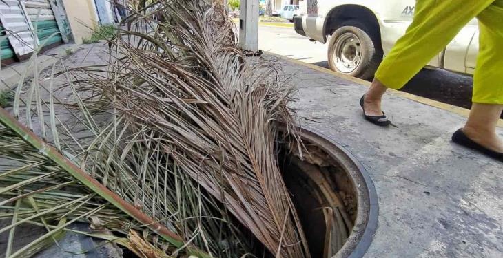 Selección fotográfica de la semana