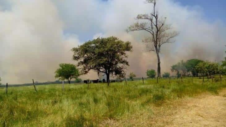 Reportan 236 incendios de pastizales