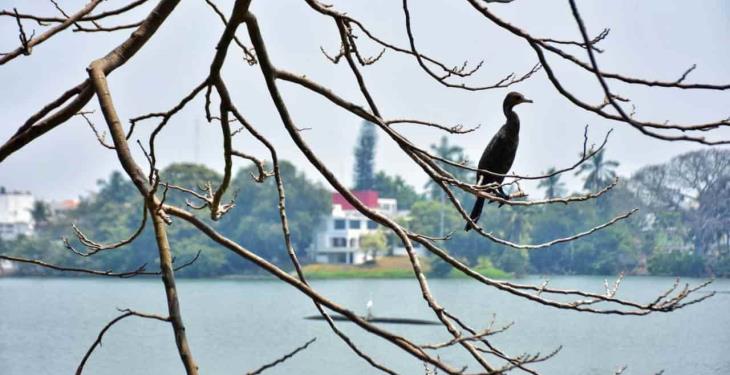 Foto Galería: Hermosas postales de la Laguna de las Ilusiones para disfrutar desde casa