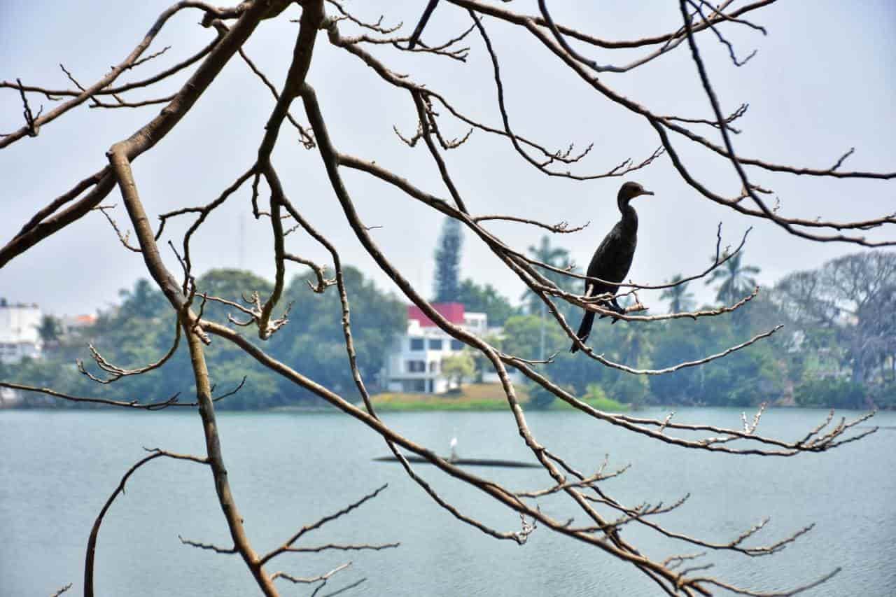 La forma más fácil de agregar hermosas galerías de fotos... | Tienda de  aplicaciones de Shopify, image size:1280x853