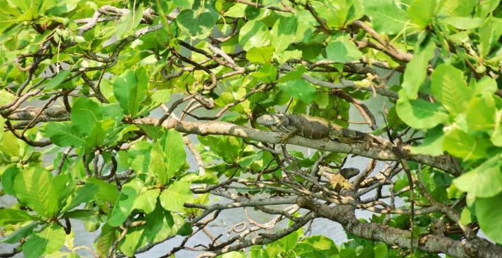 Foto Galería: Hermosas postales de la Laguna de las Ilusiones para disfrutar desde casa